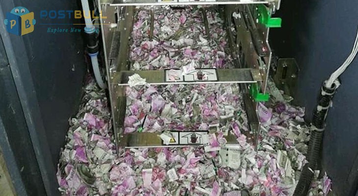 Rats chewed money